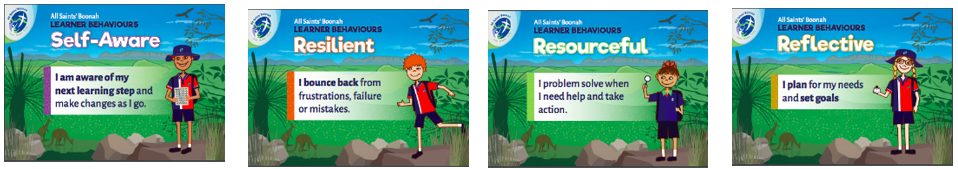 Self–Awareness, Resourcefulness, Resilience and Reflection